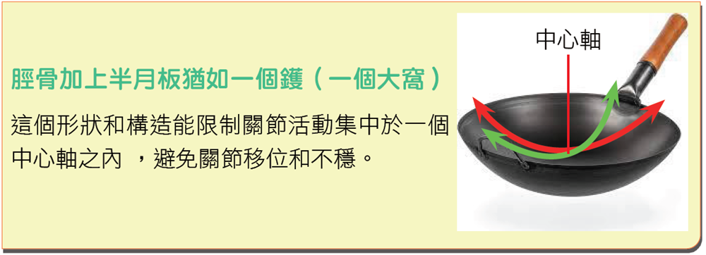 半月板撕裂
